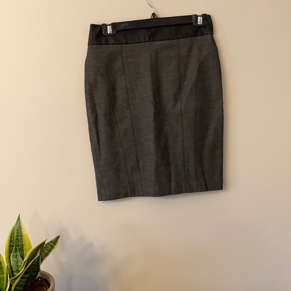 Express Lined Pencil Skirt